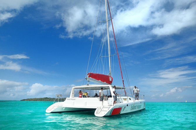 Full-Day Catamaran Cruise to Île aux Cerfs with BBQ Lunch - BBQ Lunch, Pineapple, and an Open Bar