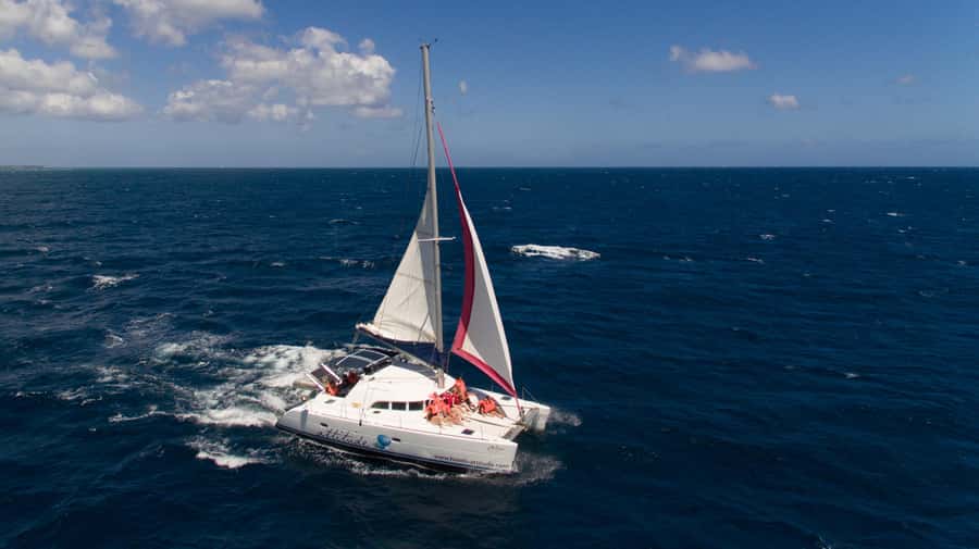 Full Day Catamaran Luxury Cruise to Northern Islands w Lunch - Flat Island brings the first snorkelling stop