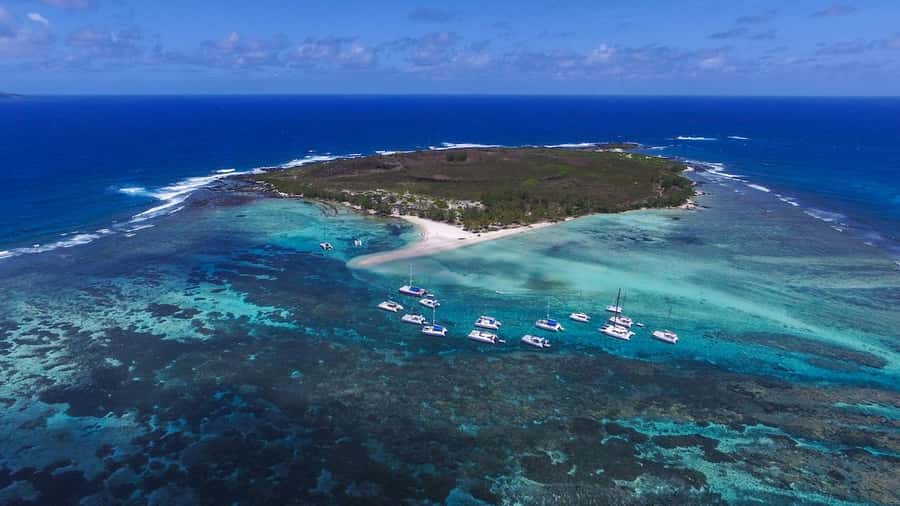 Full Day Catamaran Luxury Cruise to Northern Islands w Lunch - Barbecue lunch and drinks on the catamaran