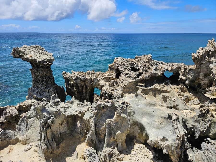 FULL-DAY CATASPEED - East Lagoon cruise including transfer. - An early start from your hotel