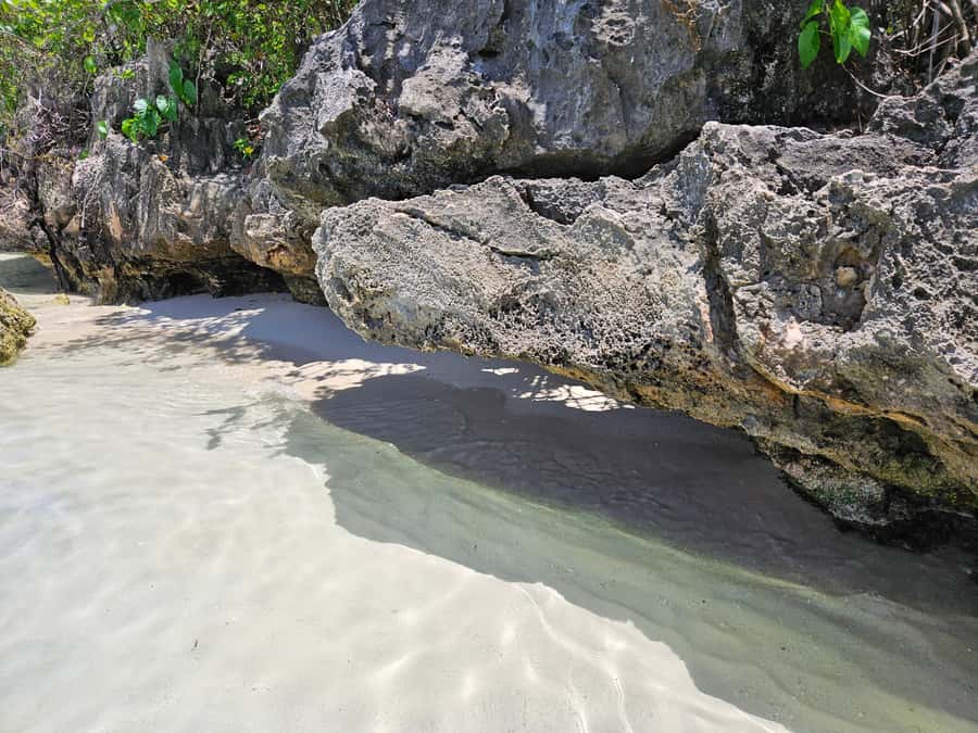 FULL-DAY CATASPEED - East Lagoon cruise including transfer. - Snorkeling at the Aquarium site
