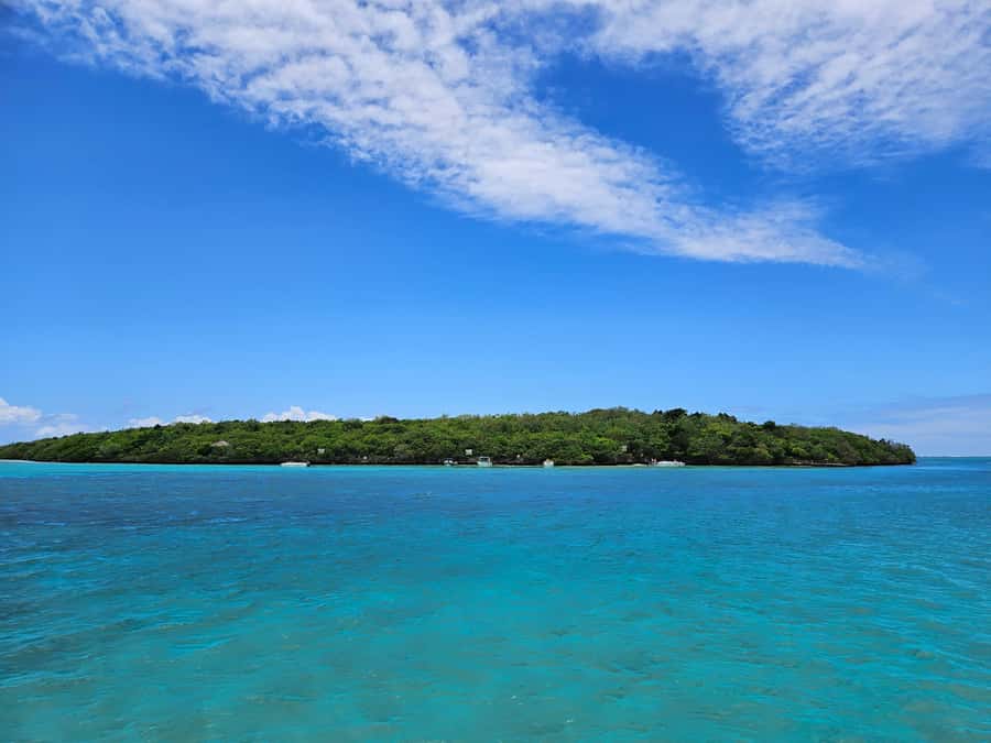 FULL-DAY CATASPEED - East Lagoon cruise including transfer. - Ile aux Cerfs: beautiful, popular, and not always tidy