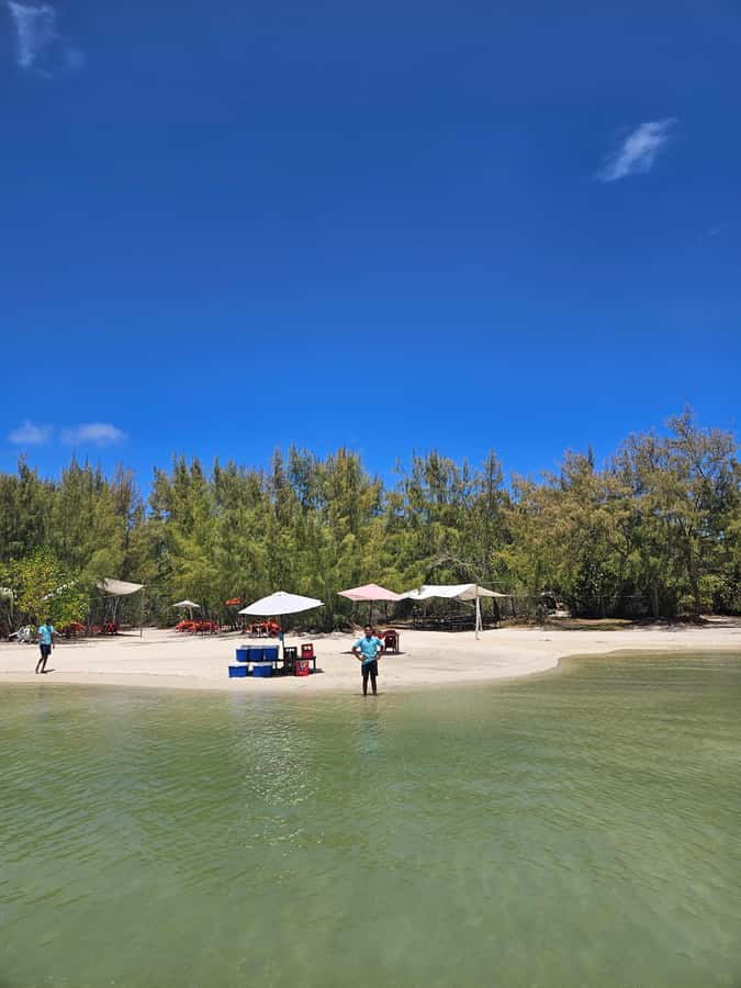 FULL-DAY CATASPEED - East Lagoon cruise including transfer. - What the $170 price really covers