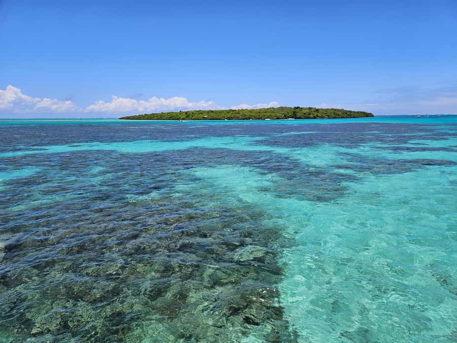 FULL-DAY CATASPEED - East Lagoon cruise including transfer. - Who will enjoy this cruise most
