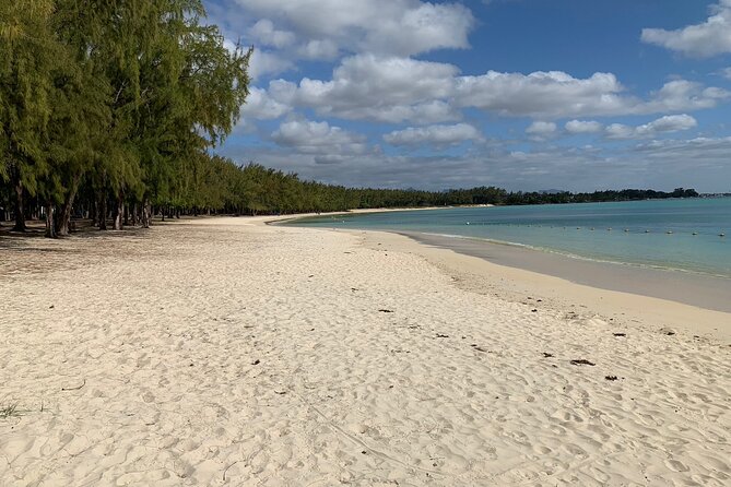 Full-Day Dolphin Watching Cruise in Mauritius - What the dolphin swim is really like