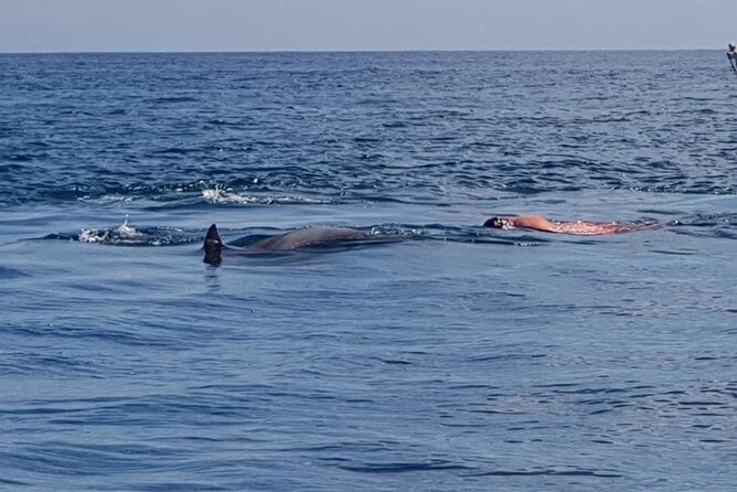 Full-Day Dolphin Watching Cruise in Mauritius - Who will enjoy this day most?