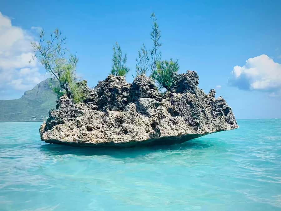 Full Day Dolphins Watching Ile aux Benitiers & Crystal Rock - Crystal Rock and the snorkeling stop