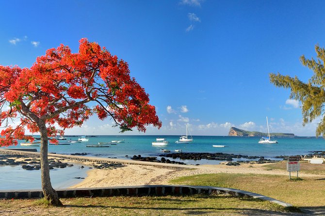 Full Day North Private Guided Tour Mauritius: including lunch - Port Louis: a quick look at the capital