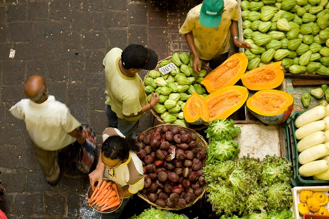 Full Day North Private Guided Tour Mauritius: including lunch - Pamplemousses Botanical Garden: allow the full two hours