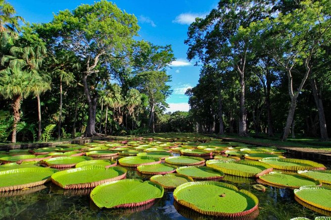 Full-Day North Tour of Mauritius, ALL INCLUSIVE Day Trip, Private SUV Car, Guide - Why this North Mauritius route works