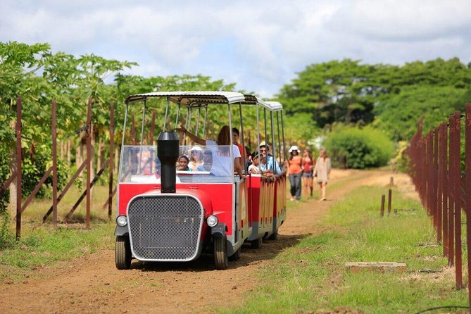 Full-Day North Tour of Mauritius, ALL INCLUSIVE Day Trip, Private SUV Car, Guide - Lunch at Le Fangourin, with Pieter Both in view