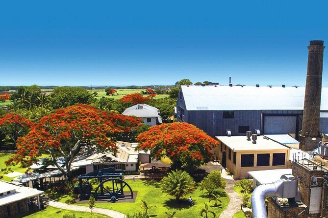 Full-Day North Tour of Mauritius, ALL INCLUSIVE Day Trip, Private SUV Car, Guide - Grand Baie for shopping and a little free time