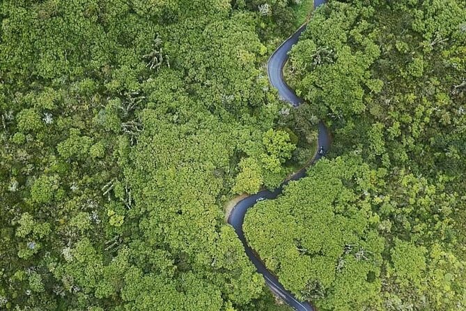 Full Day Private car only Guided SOUTH WEST of Mauritius - Vallé Advenature Park: the optional-cost stop