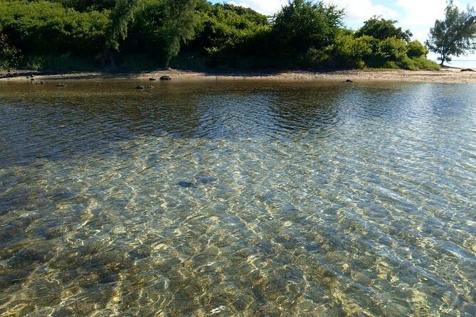 Full-Day Private Hiking le Morne Mountain & Seafood Lunch at Islet Fourneau - Flora, birds, and the lower forest path