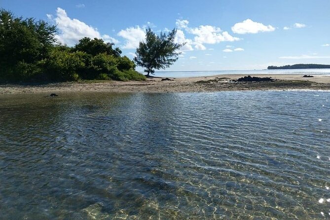 Full-Day Private Hiking le Morne Mountain & Seafood Lunch at Islet Fourneau - From mountain trail to Islet Fourneau