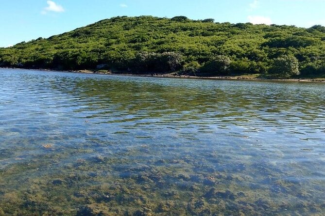 Full-Day Private Hiking le Morne Mountain & Seafood Lunch at Islet Fourneau - The rough upper climb and slave-refuge caves