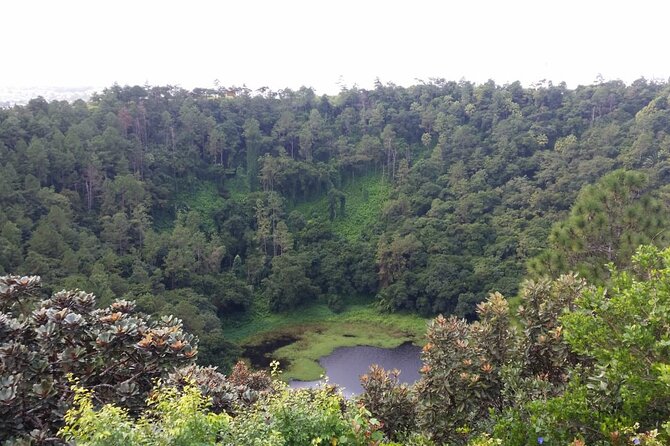 Full Day Private Tour in South of Mauritius - A full southern loop from Port Louis