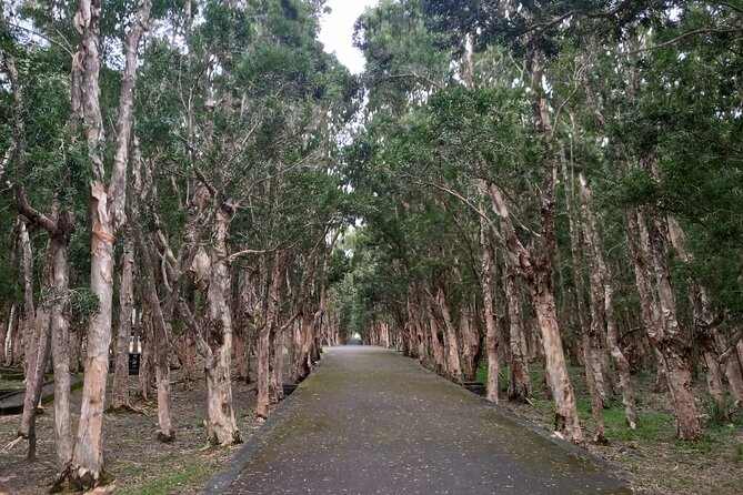 Full Day Private Tour in South of Mauritius - Curepipe and Floreal for shopping time
