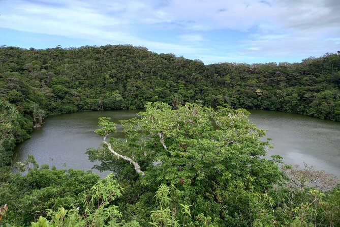 Full Day Private Tour in South of Mauritius - Timing, food, and what to bring