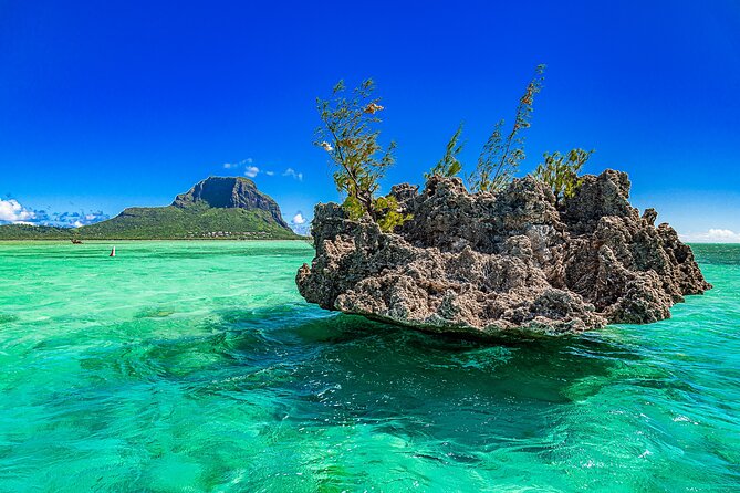 Full day Shared Speedboat Tour - South West Lagoon Dolphin Swim - Should you book the South West Lagoon Dolphin Swim?