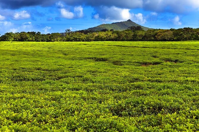 Full-Day South Tour of Mauritius, ALL INCLUSIVE Day Trip, Private SUV Car, Guide - Why this southern Mauritius day works