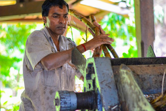 Full-Day South Tour of Mauritius, ALL INCLUSIVE Day Trip, Private SUV Car, Guide - What the $282.73 price really covers