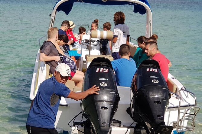 Full-Day Swimming with Dolphins and Casela Nature Park Tour in Mauritius - Transport and group size make the day easier