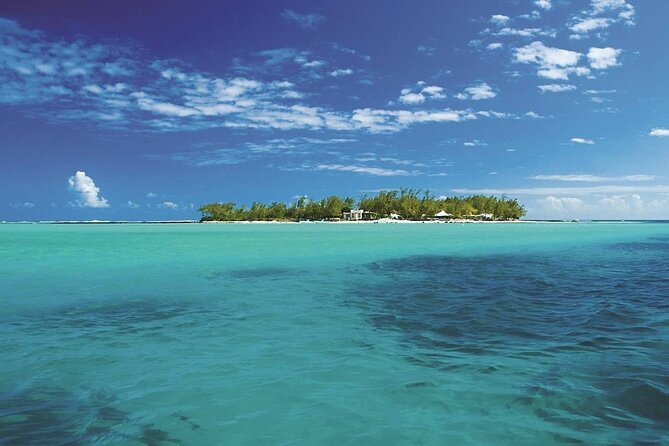 Full Day Tour 5 Island to Ile Aux Cerfs Incl. Lunch and Transfer - The Dalbair wreck at Pointe d’Esny