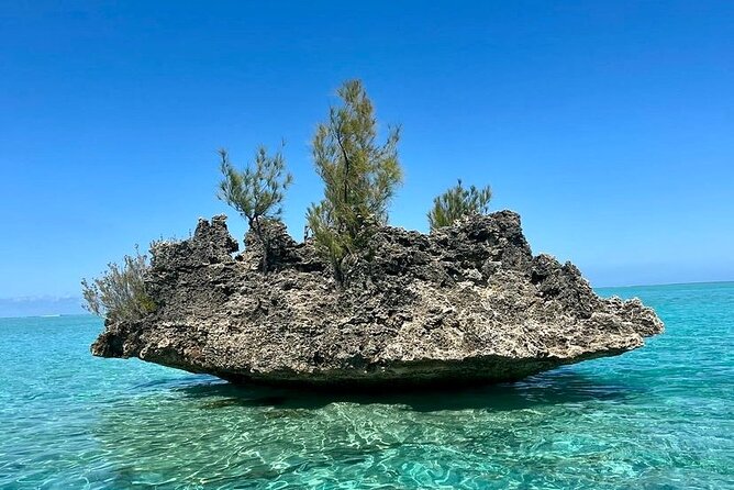 Fully Day Tour: Dolphin Encounters, Crystal Rock at Benitiers Island - Weather, cancellation, and what to pack