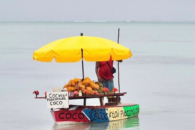 Fully Day Tour: Dolphin Encounters, Crystal Rock at Benitiers Island - Who should book this Mauritius boat day?