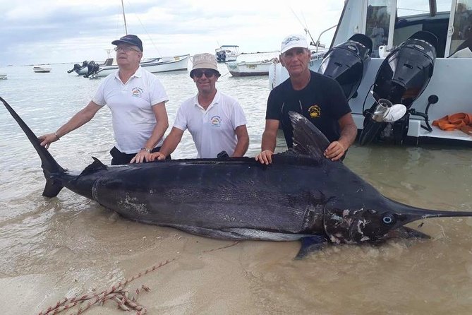 GOLDEN WAVE 3 - IGFA Captain Vic - Blue Marlin Fishing - Why Mauritius is serious marlin country