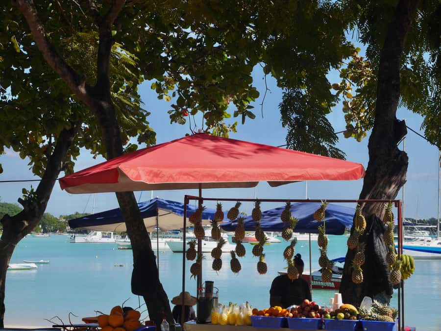 Grand Baie: Coastal Cuisine & Culture Walking Tour - Grand Baie Public Beach and the town’s oldest building