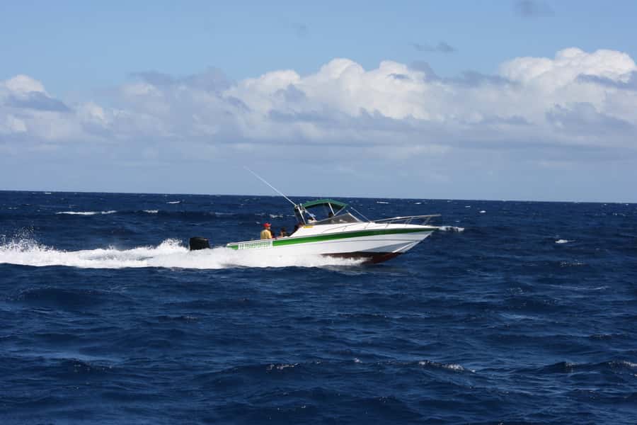 Grand Baie: Three Islands Private Boat Trip and Beach BBQ - Coin de Mire is the day’s best snorkeling stop