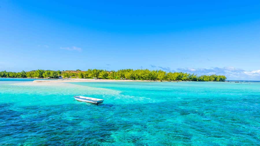 Grand Bay: Catamaran Cruise to Flat Island with BBQ Lunch - Beach time and island walking on Flat Island