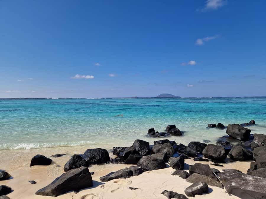 Grand Bay: Catamaran Cruise to Flat Island with BBQ Lunch - Final decision: book for the boat day, not just the island