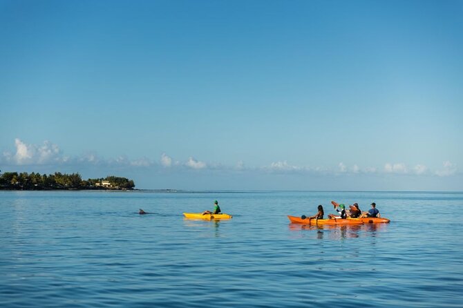 Guided Kayak 2-Hour Activity with Dolphins - Sunrise in Tamarin Bay at 6:20 am