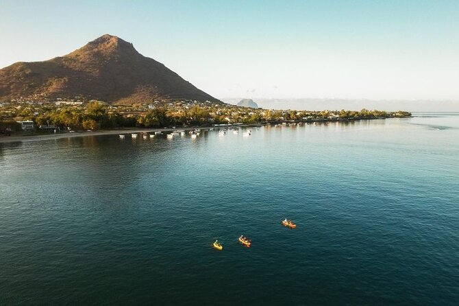 Guided Kayak 2-Hour Activity with Dolphins - What the paddle toward the dolphins is like