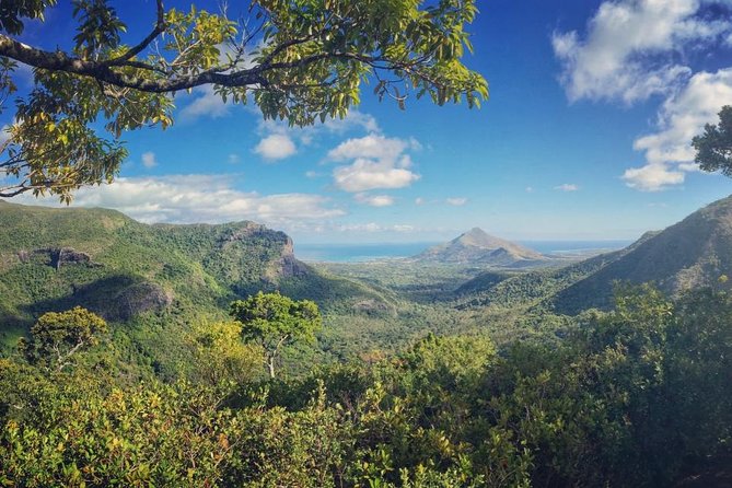 Hiking in the Black River Gorges National Parc - Native Forest - Climbing through native forest
