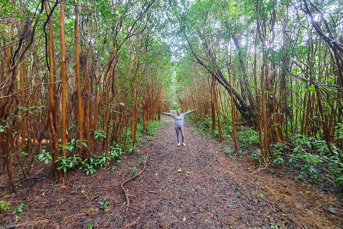 Hiking the Black River Gorges: Full-day with Lunch and Transfer - The early pickup and drive to the park