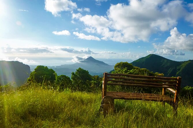 Hiking the Black River Gorges: Full-day with Lunch and Transfer - What the guide adds to the walk
