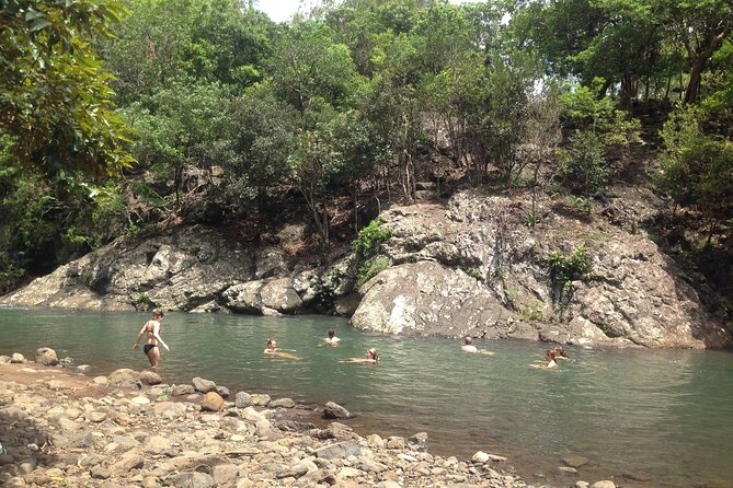 Hiking the Black River Gorges: Full-day with Lunch and Transfer - Who should book this Mauritius hiking tour?