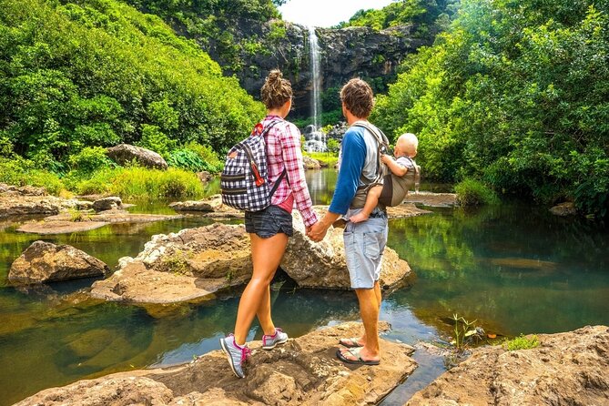 Hiking the Black River Gorges: Full-day with Lunch and Transfer - Walking through Black River Gorges National Park