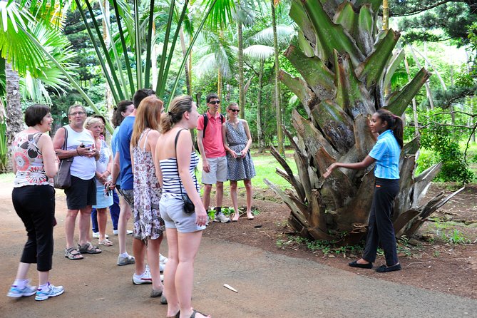 Historical Guided Day Tour : City - Sugar World - Botanical Garden - A full day that connects Mauritius’s main stories