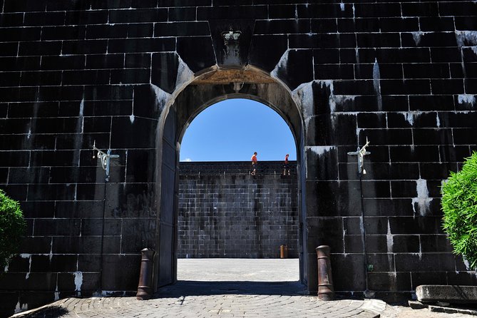 Historical Guided Day Tour : City - Sugar World - Botanical Garden - Citadel Fort Adelaide and the view over Port Louis