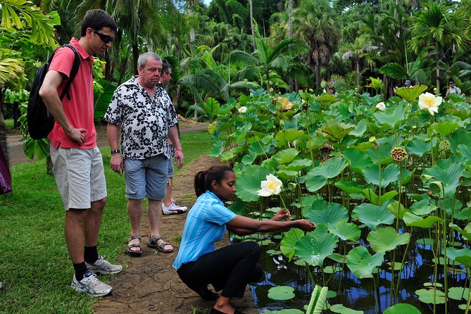 Historical Private Guided Tour, City-SugarWorld-Botanical Garden - Min.2 persons - What the private format is worth