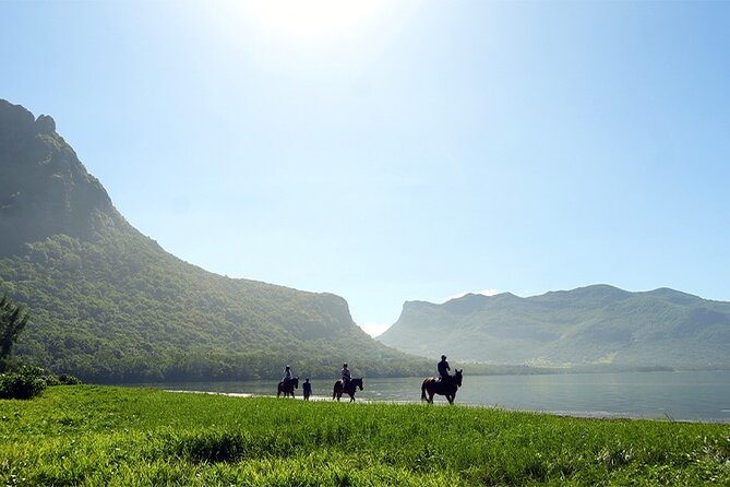 Horse Riding experience by Haras du Morne - What this Haras du Morne experience really includes