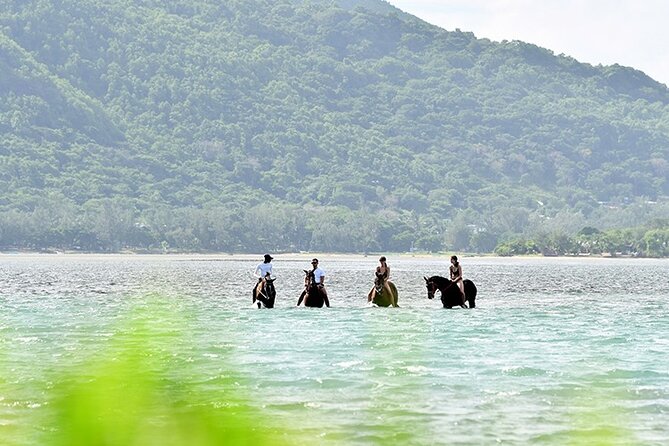 Horse Riding experience by Haras du Morne - Le Morne and the story of the maroons