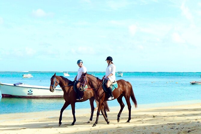 Horse Riding experience by Haras du Morne - Seven Colored Earths and the Chamarel area