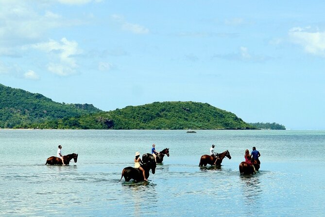 Horse Riding experience by Haras du Morne - Black River Gorges and the island’s green interior