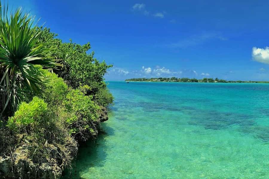 Ile aux Aigrettes Reserve & Blue Bay Glass Bottom Boat - The pickup and boat schedule need patience